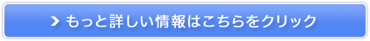 y݂zIj`EJTCgɂʂŃXbL̔TCg